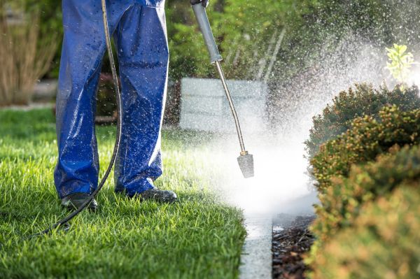 Cost of Curb Cleaning in Portland