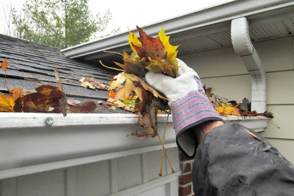 Cost of Eaves Cleaning in Portland